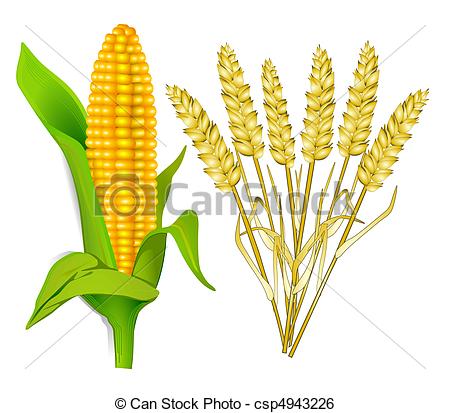 450x413 Collection Of Free Grained Clipart Yellow Wheat Download On Ui Ex - Grain Drawing