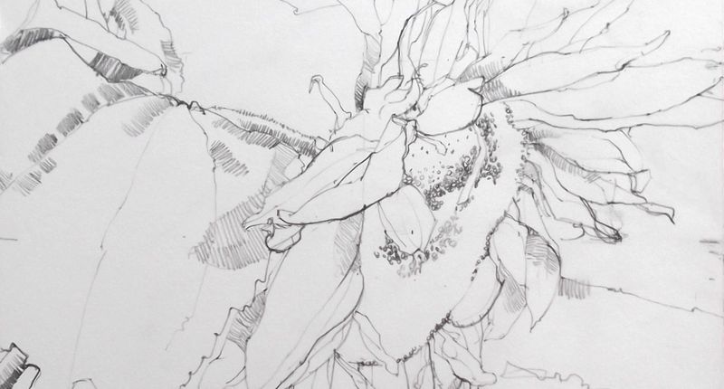 800x430 grammar of drawing two - Grammar Drawing