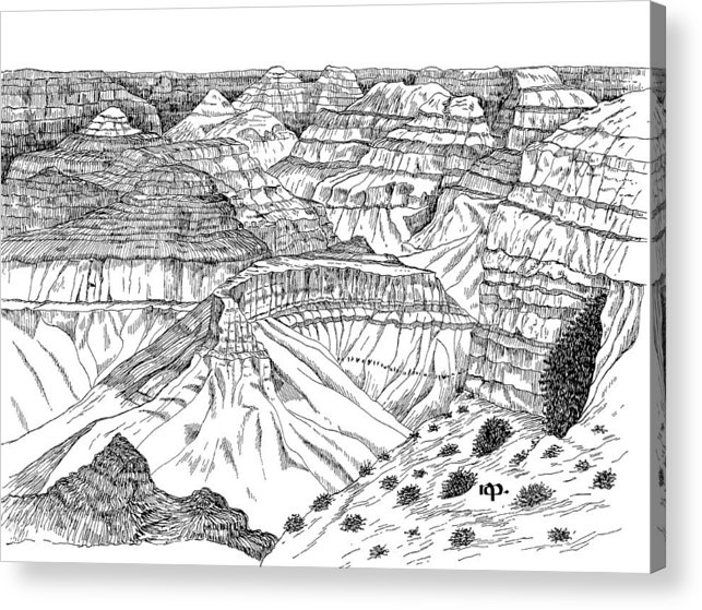 643x559 grand canyon acrylic print - Grand Canyon Drawing