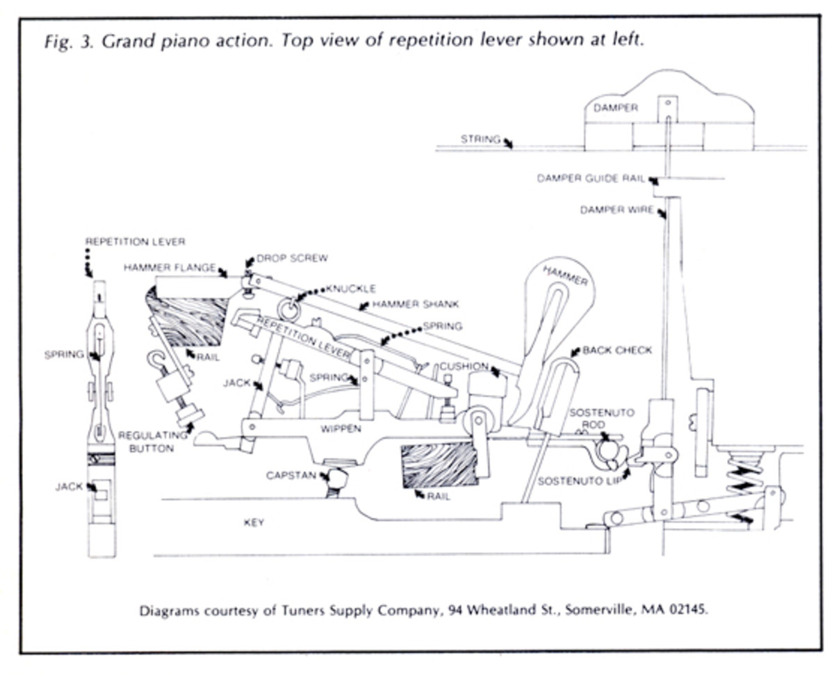 1200x969 The Piano Action Train From Key To String - Grand Piano Drawing Top View