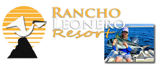 500x220 Free Grand Prize Drawing Enter To Win Fred Hall Shows - Grand Prize Drawing