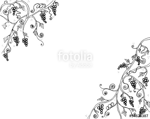 500x395 Grape Vine And Branch Illustration Line Art Black And White - Grape Vine Drawing