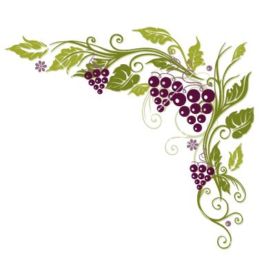 380x400 Grape Vine Vector Clipart Collection - Grape Vine Drawing