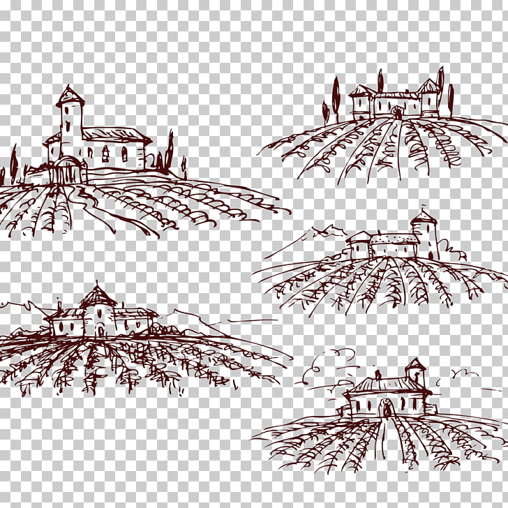 728x728 Wine Common Grape Vine Drawing, Castle Png Clipart Free Cliparts - Grape Vine Drawing