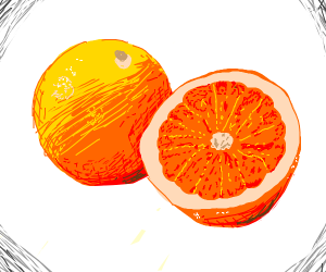 300x250 Grapefruit Drawing - Grapefruit Drawing