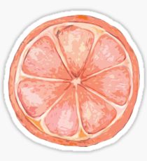 210x230 Grapefruit Drawing Stickers Redbubble - Grapefruit Drawing