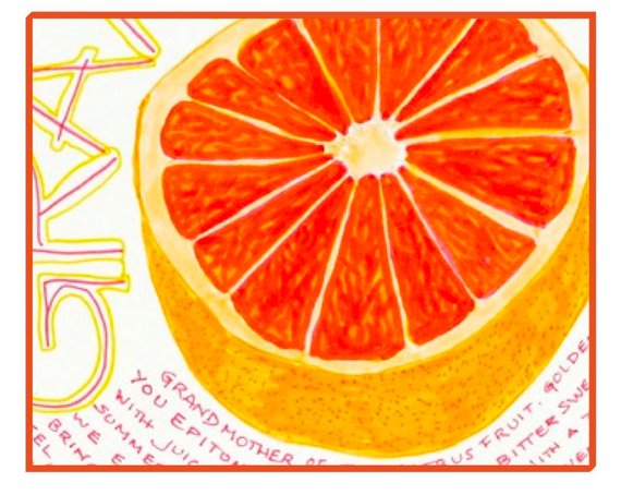 570x454 Pink Grapefruit Note Card Close Up Hand Drawn Image Etsy - Grapefruit Drawing