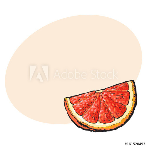 500x500 Quarter, Segment, Piece Of Ripe Pink Grapefruit, Red Orange, Hand - Grapefruit Drawing