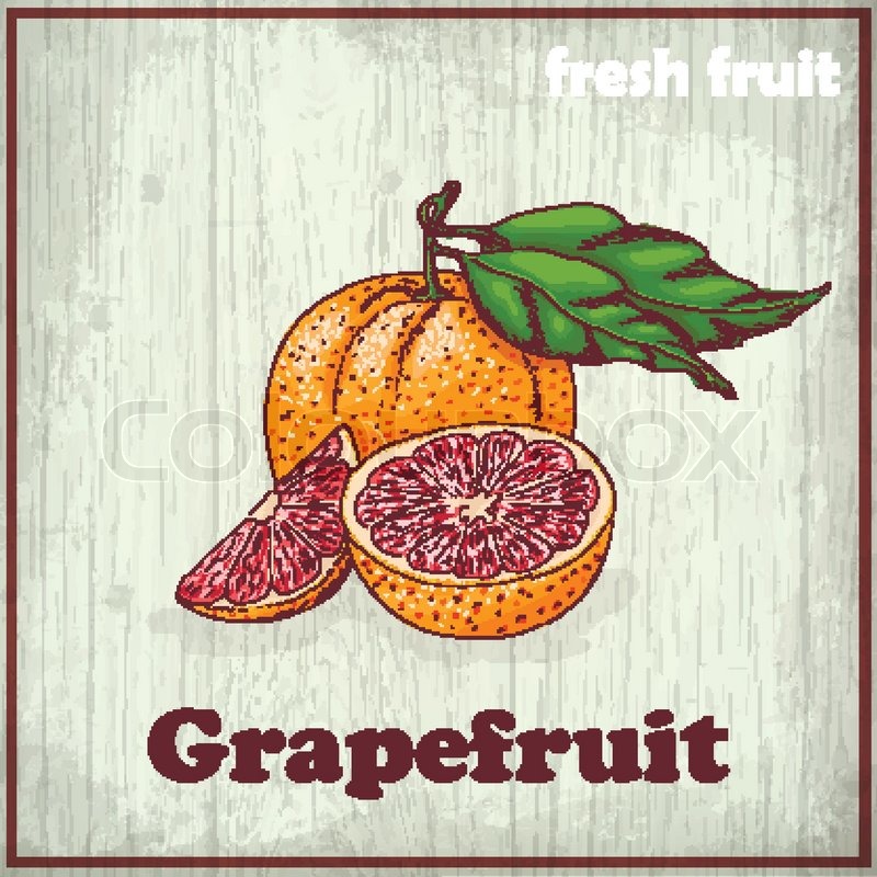 800x800 Vintage Hand Drawing Illustration Of Stock Vector Colourbox - Grapefruit Drawing