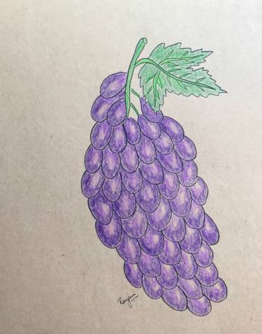 375x478 Grapes Drawing - Grapes Drawing