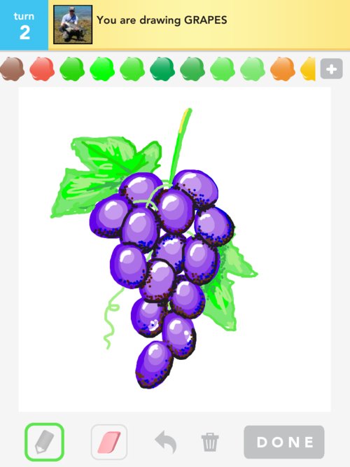 500x667 Grapes Drawings - Grapes Drawing