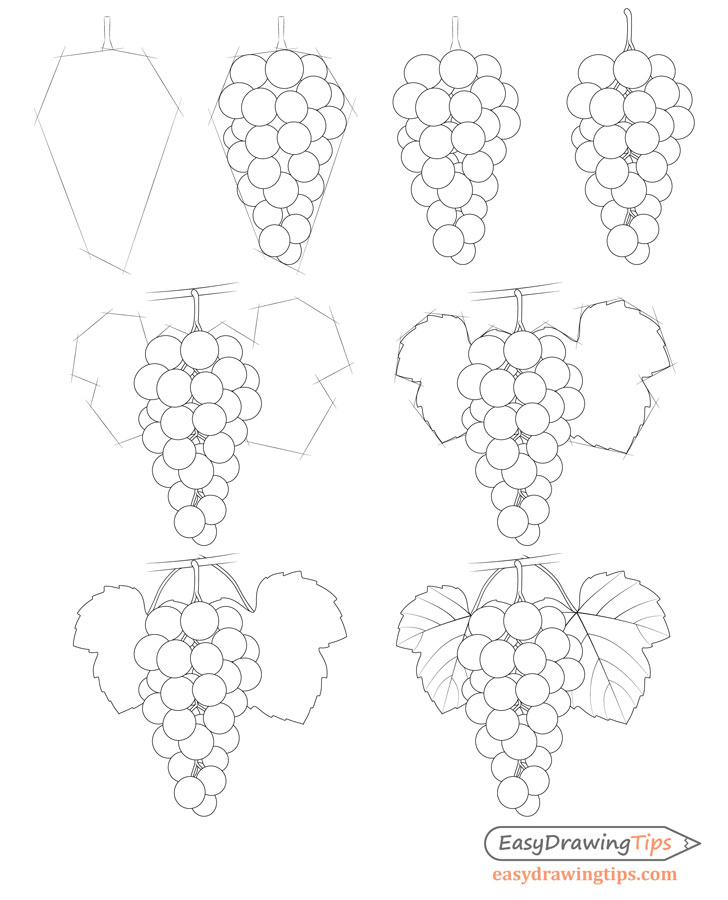 728x900 How To Draw Grapes Step - Grapes Drawing