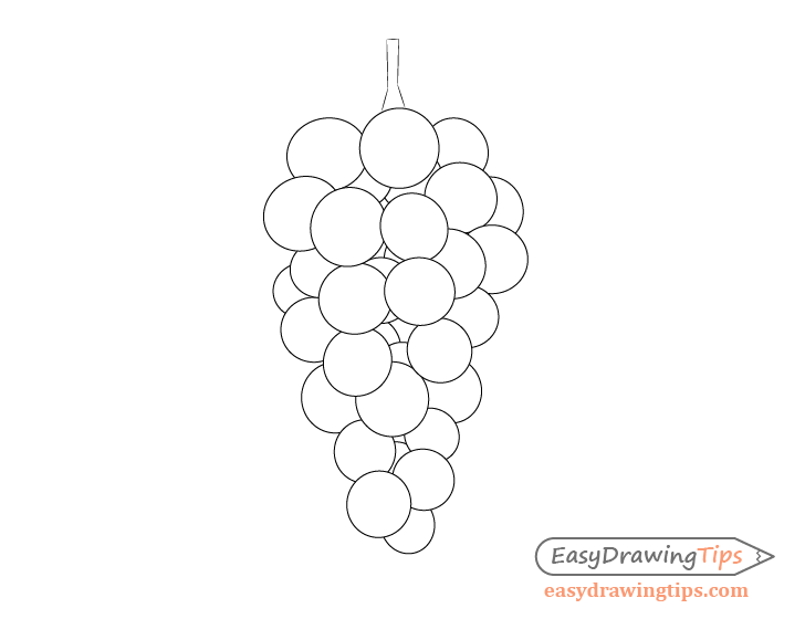 728x560 How To Draw Grapes Step - Grapes Drawing