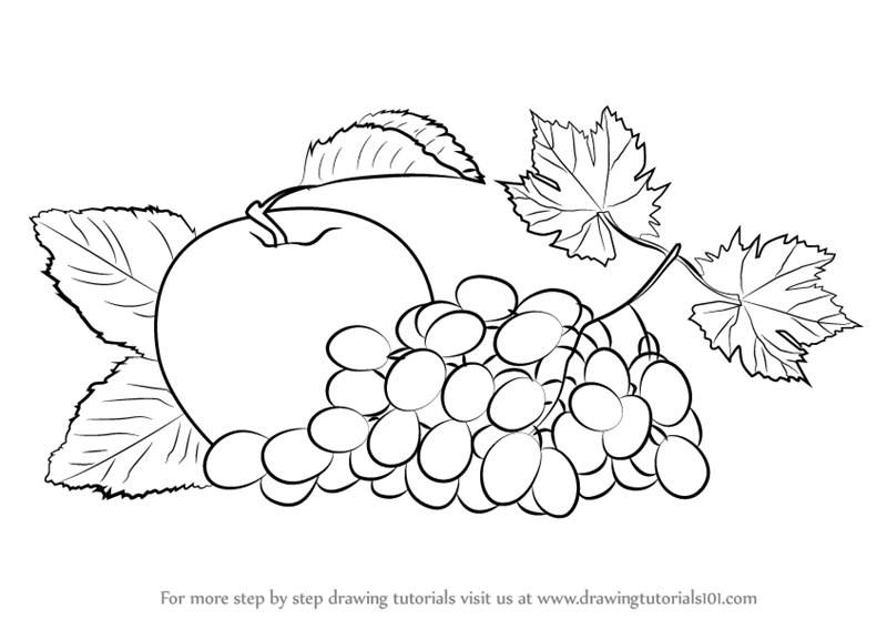 800x567 Learn How To Draw Grapes And Apple - Grapes Drawing