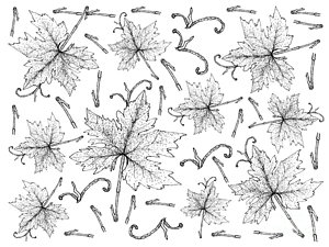 300x225 Grape Leaves Drawings Fine Art America - Grapes Leaves Drawing