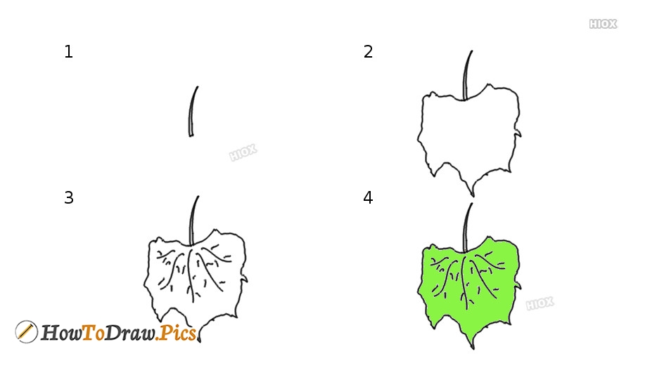 934x534 how to draw grapes leaves howtodraw pics - Grapes Leaves Drawing
