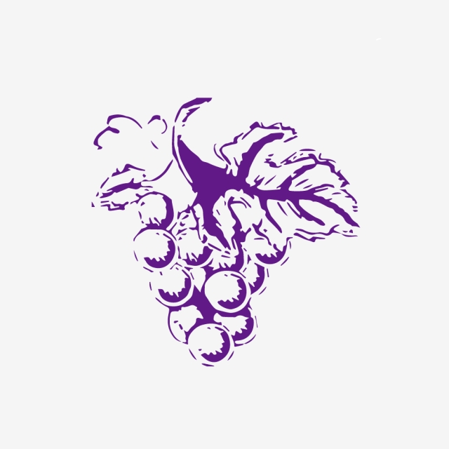 640x640 Grape Summer Fruit Cartoon Hand Drawn Grapes Purple Line Drawing - Grapes Line Drawing