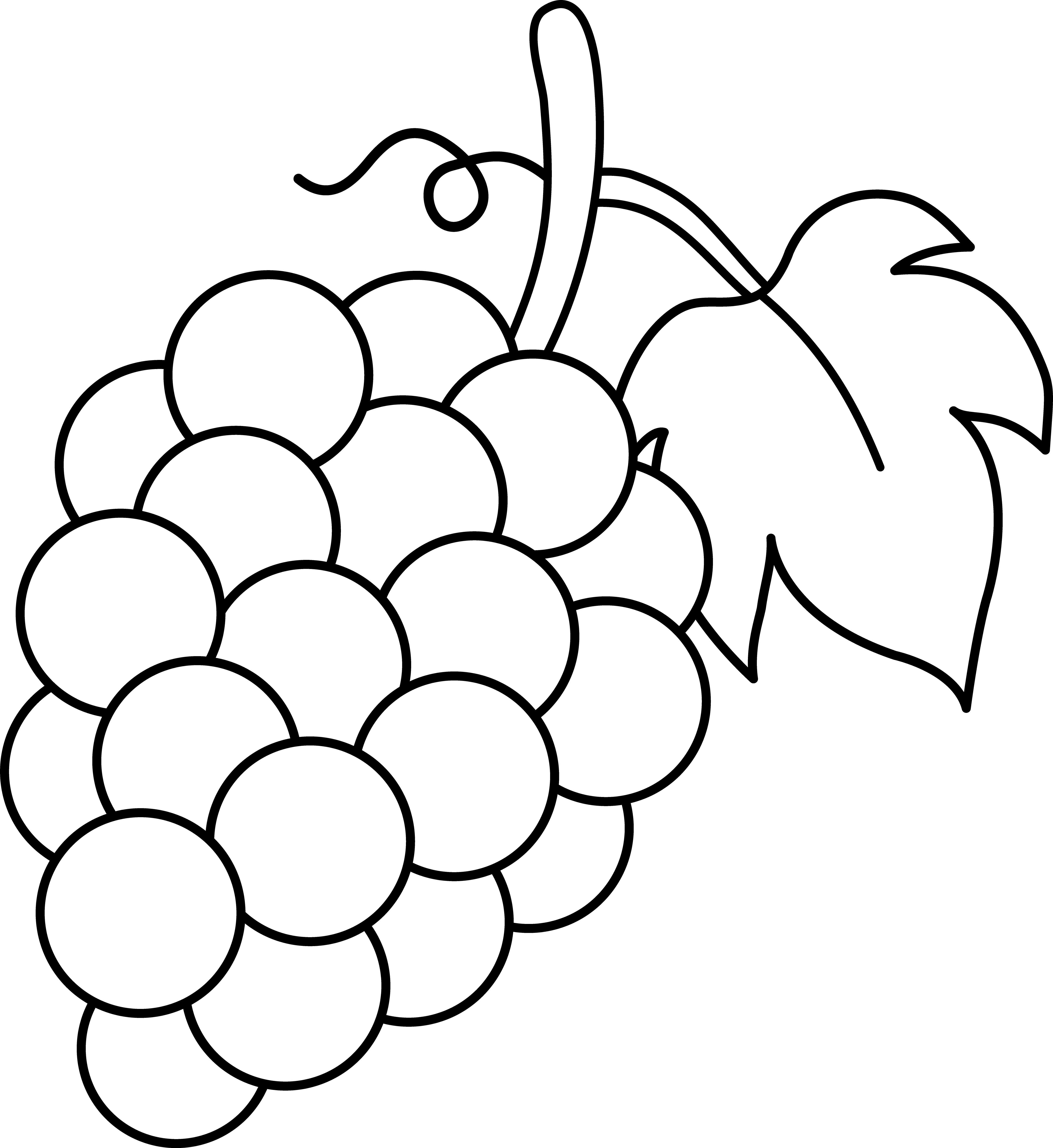 4843x5282 Grapes Black And White Lineart - Grapes Line Drawing