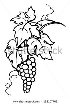 236x352 How To Draw Grapes In Steps How To Draw Drawings, Grape - Grapes Line Drawing