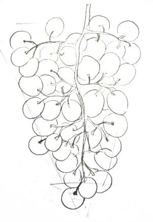 300x436 How To Draw Grapes Step - Grapes Line Drawing