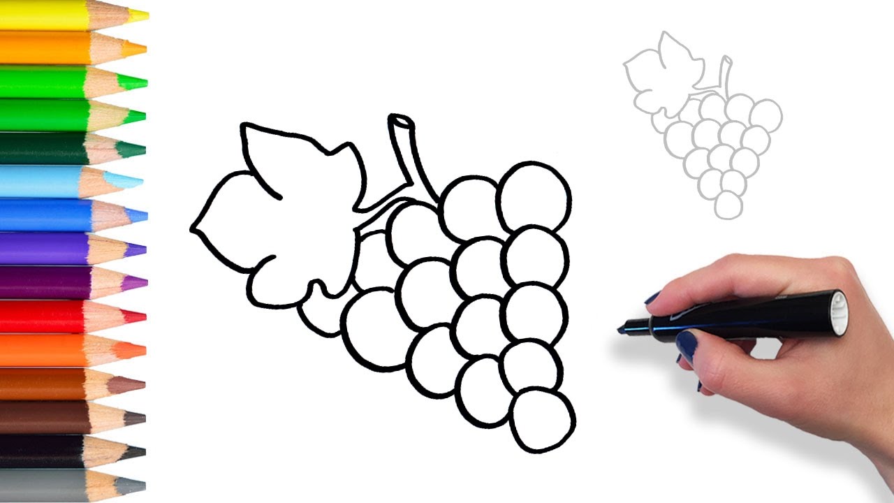 1280x720 Learn How To Draw Grapes Teach Drawing For Kids And Toddlers - Grapes Line Drawing