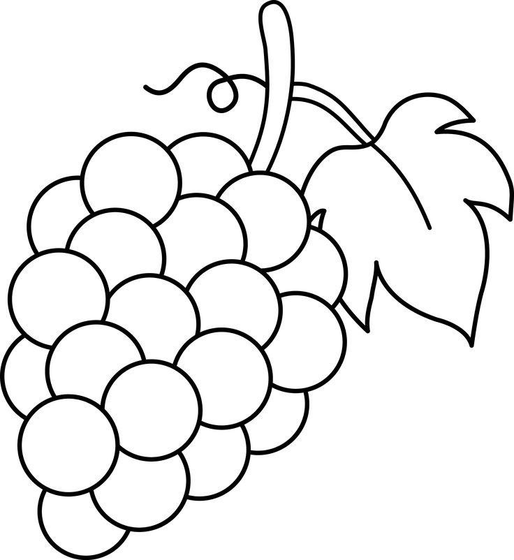 736x802 line art of a bunch of grapes grapes grape drawing, clipart - Grapes Line Drawing