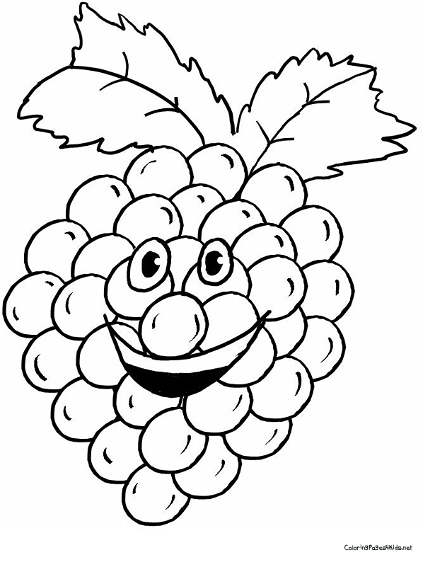 598x801 Pictures Of Grapes Line Drawing - Grapes Line Drawing