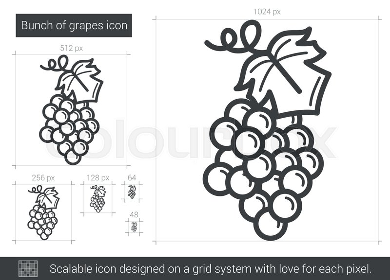 800x576 Bunch Of Grapes Vector Line Icon Stock Vector Colourbox - Grapes Line Drawing