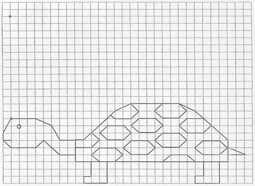 850x620 How To Draw Turtle - Graph Drawing