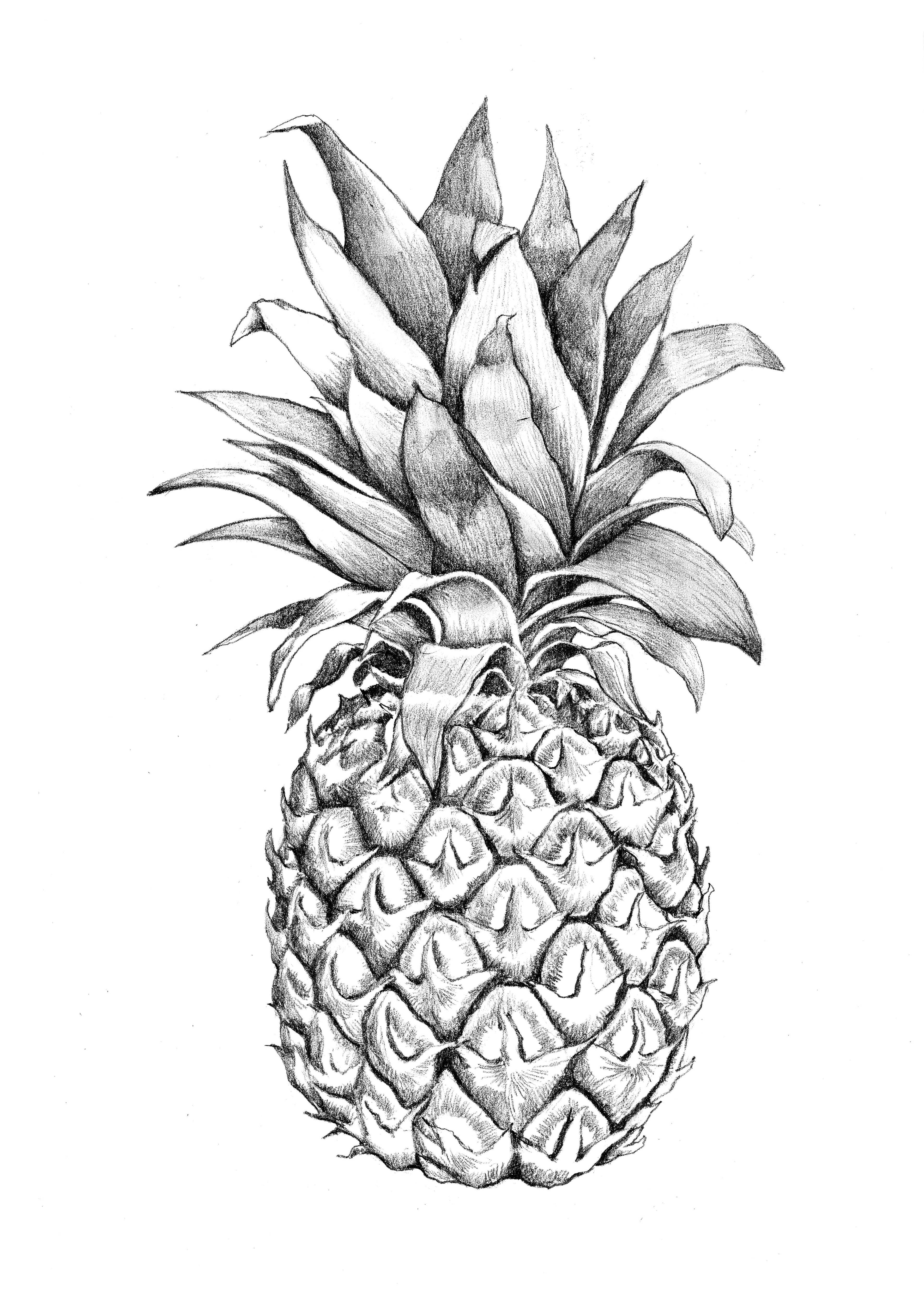 3543x5011 images for gt pineapple graphic design pineapples pineapple - Graphic Design Drawing