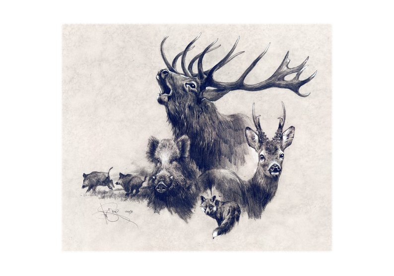 794x557 graphic drawing classical hunting hunting gifts etsy - Graphic Drawing