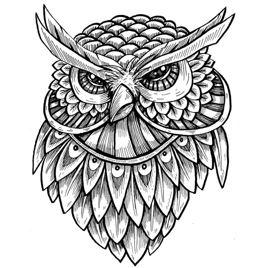 536x536 Create Any Drawing For You! For Amillustration - Graphic Drawing