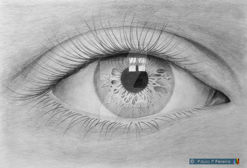 800x544 Eye - Graphite Drawing