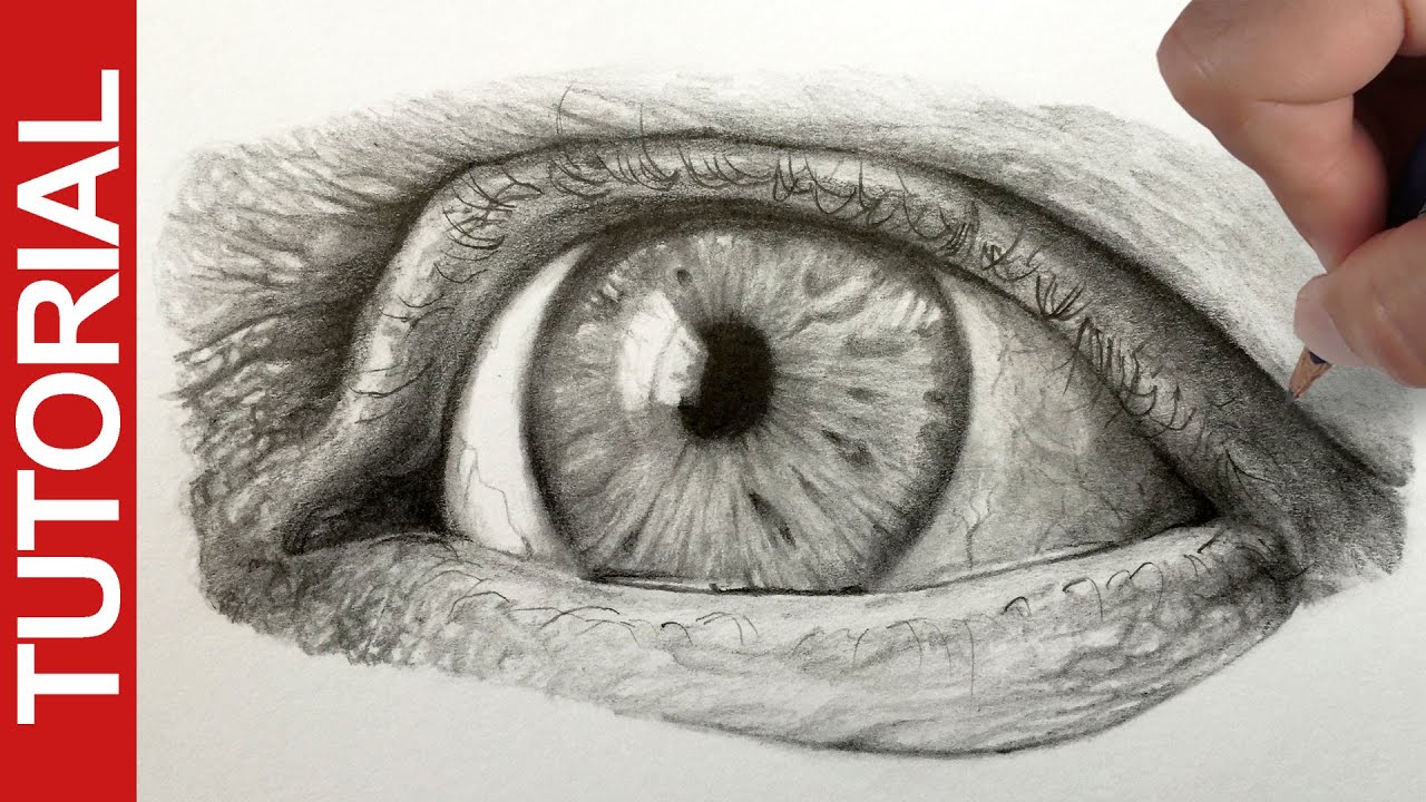 1280x720 How To Draw A Realistic Eye - Graphite Drawing