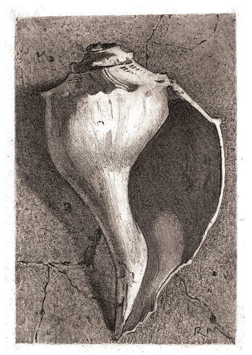 500x704 the versatility of graphite from light to bold, dry to wet - Graphite Drawing