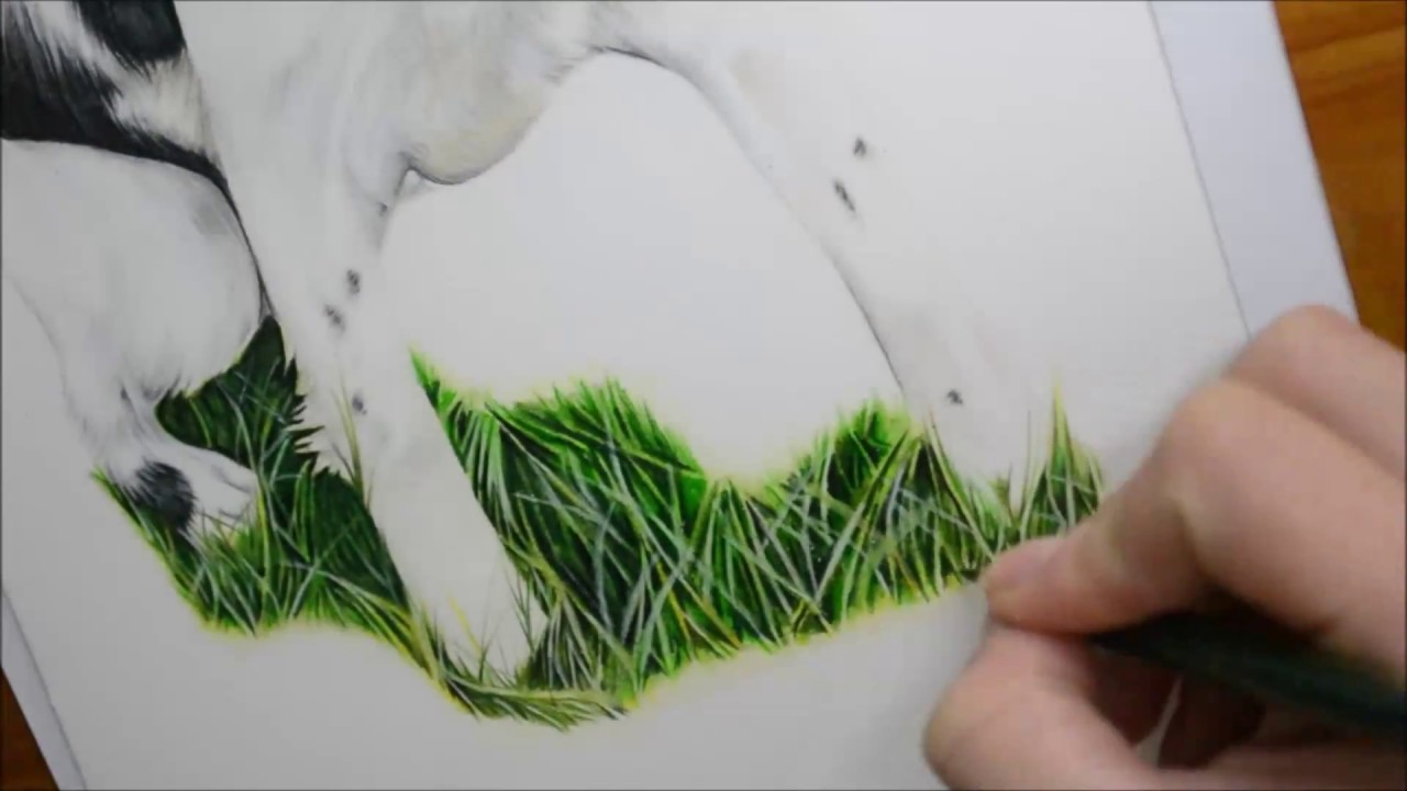 1280x720 how to draw grass using colour pencil - Grass Drawing