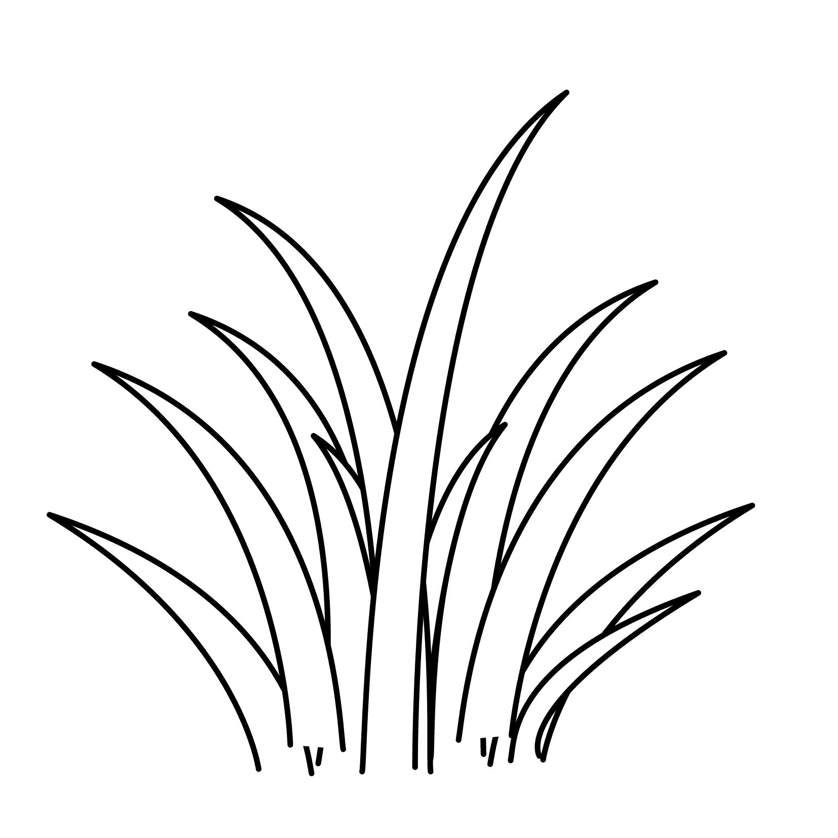 1654x1654 seagrass drawing sweet grass for free download - Grass Drawing.