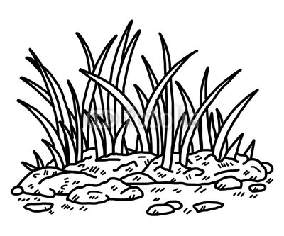 400x333 grass cartoon vector and illustration, black and white, hand - Grass Drawing