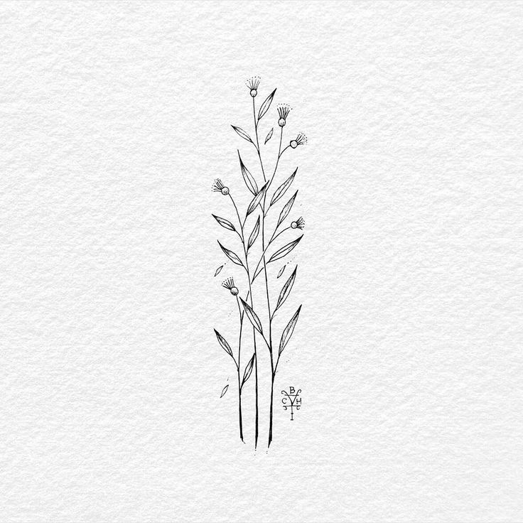 736x736 grass drawing aesthetic for free download - Grass Drawing