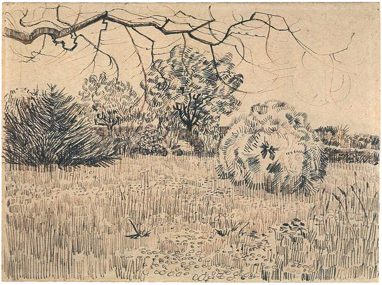 787x587 Field Of Grass With A Round Clipped Shrub - Grass Field Drawing