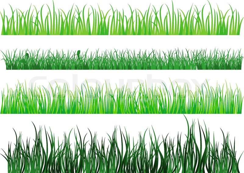 800x570 Green Grass And Field Elements Stock Vector Colourbox - Grass Field Drawing