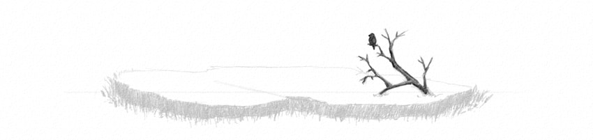 850x201 How To Draw Grass, Ground, And Rocks - Grass Field Drawing