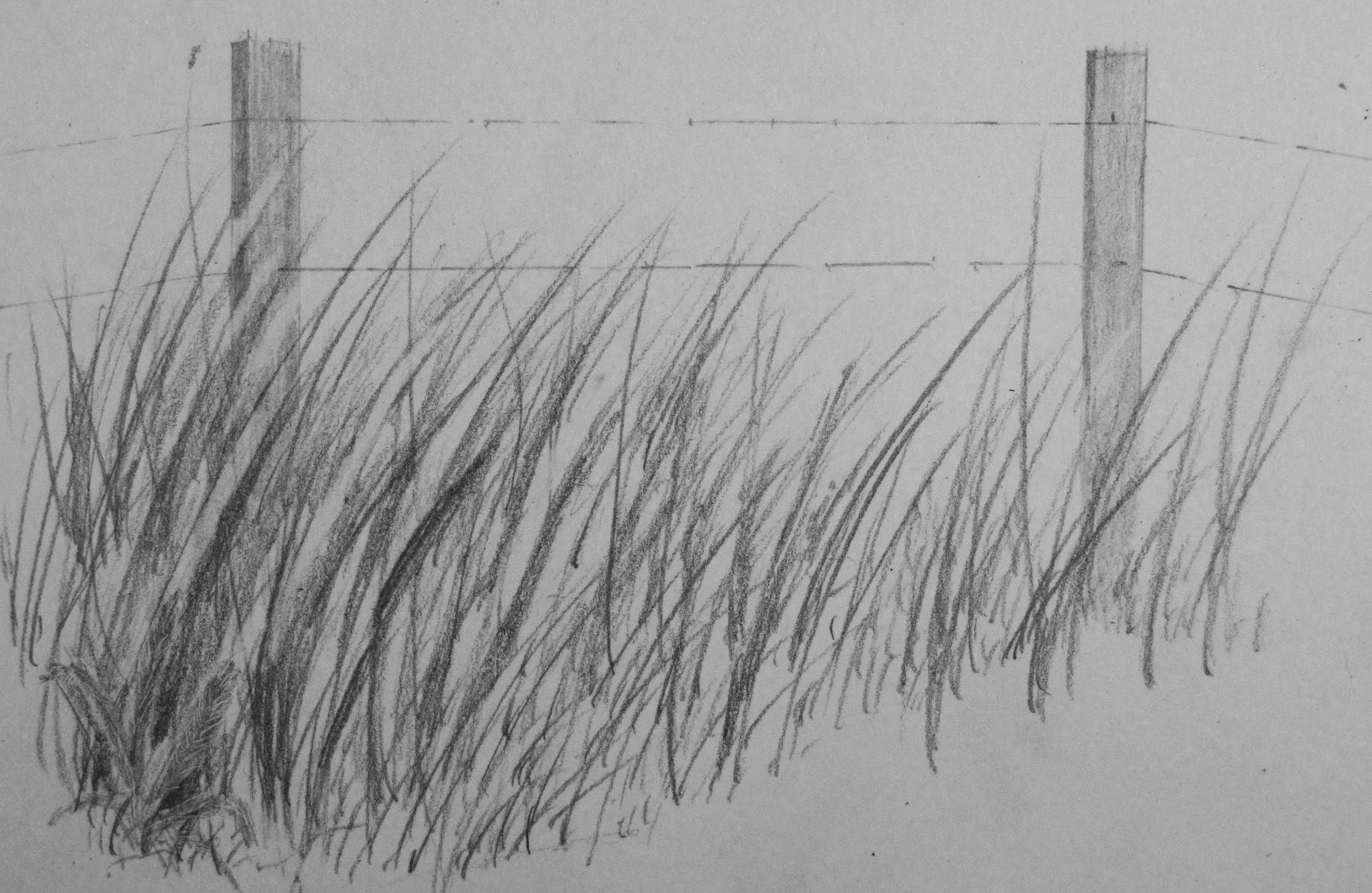 Колеблемый ветром. Трава карандашом. Рисование травы карандашом. Трава рисунок карандашом. Трава простым карандашом.