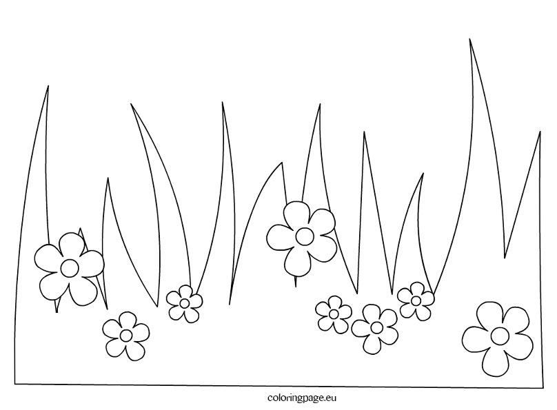 808x595 grass black and white grass clipart line drawing pencil - Grass Line Drawing