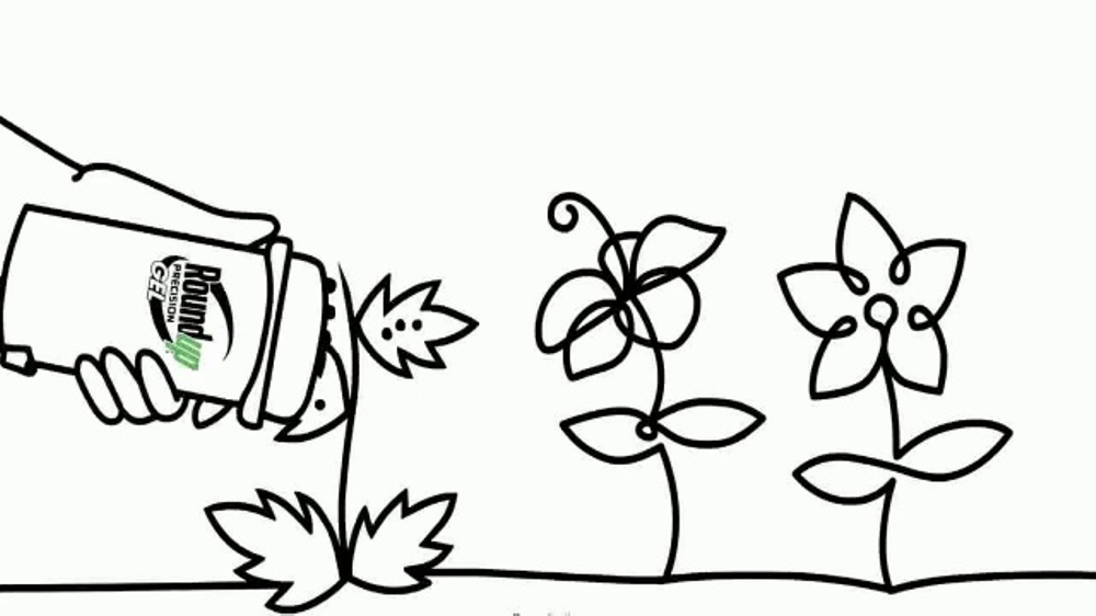 1000x562 roundup precision gel weed grass killer tv commercial, 'draw - Grass Line Drawing