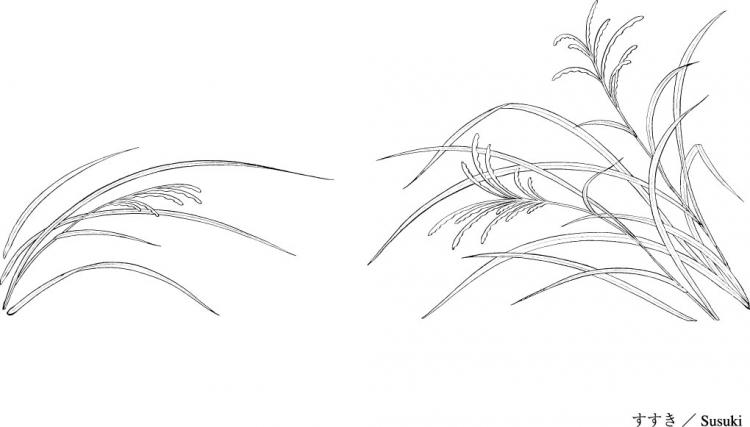 750x427 Line Drawing Of Flowers - Grass Line Drawing