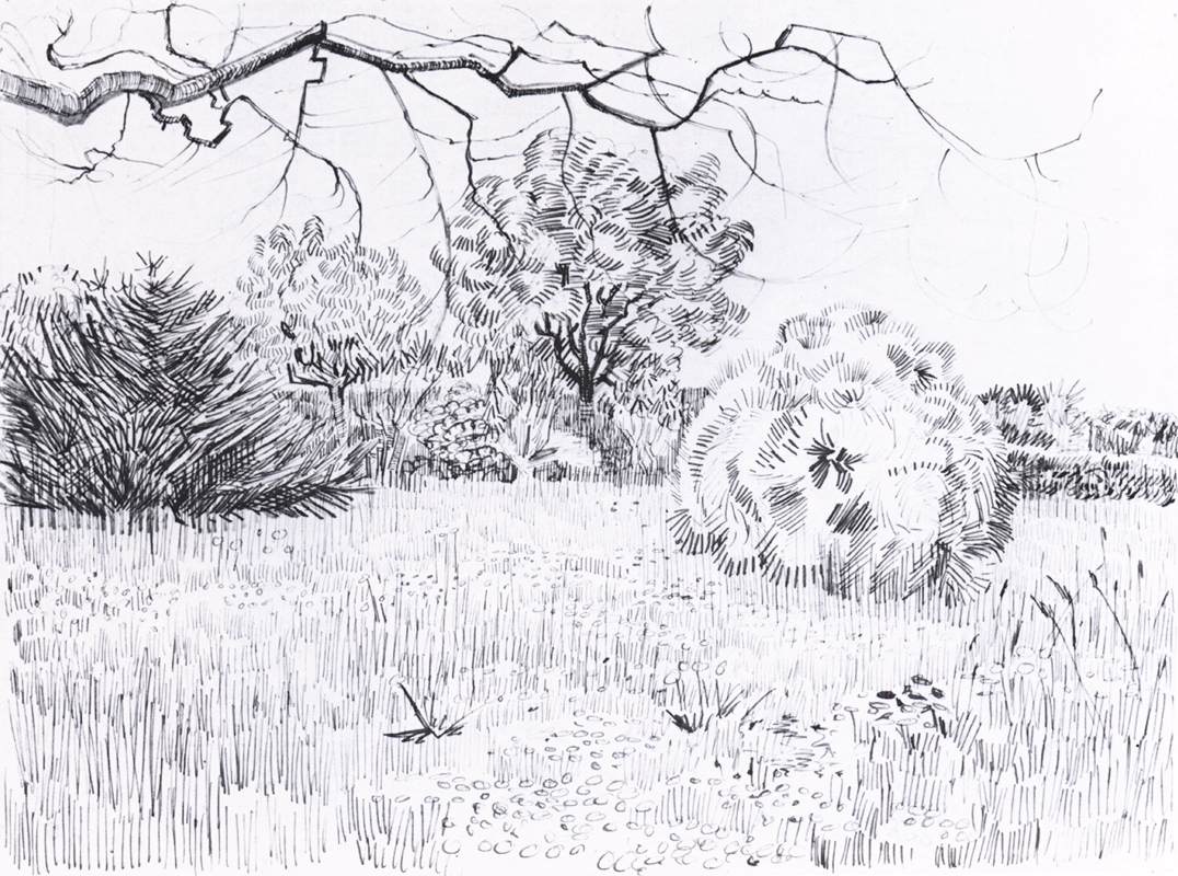 Grass Line Drawing at PaintingValley.com | Explore collection of Grass