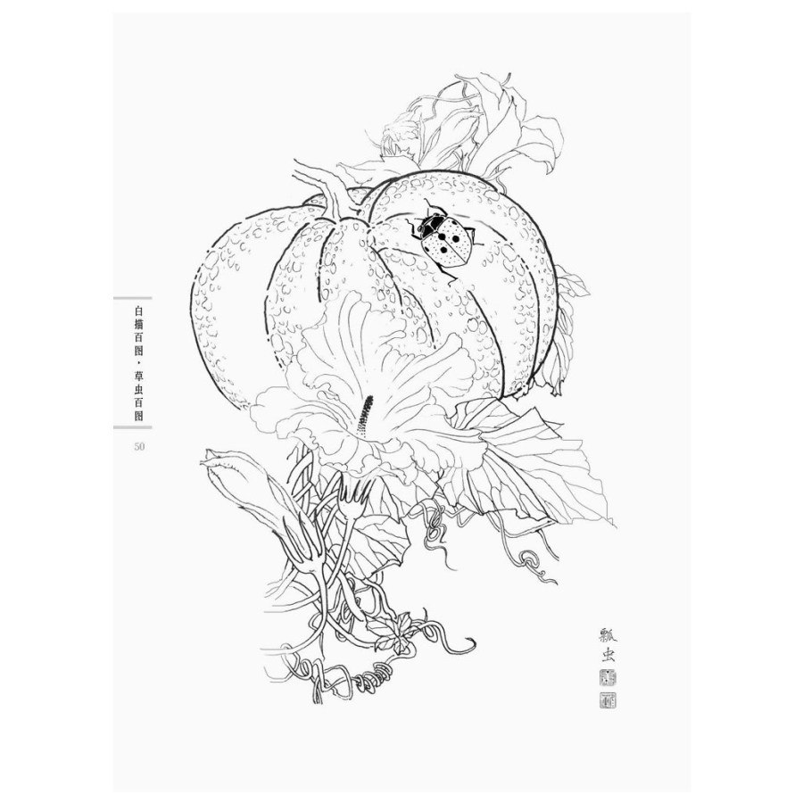 900x900 Chinese Line Drawing Grass And Insect Painting,chinese Traditional - Grass Line Drawing