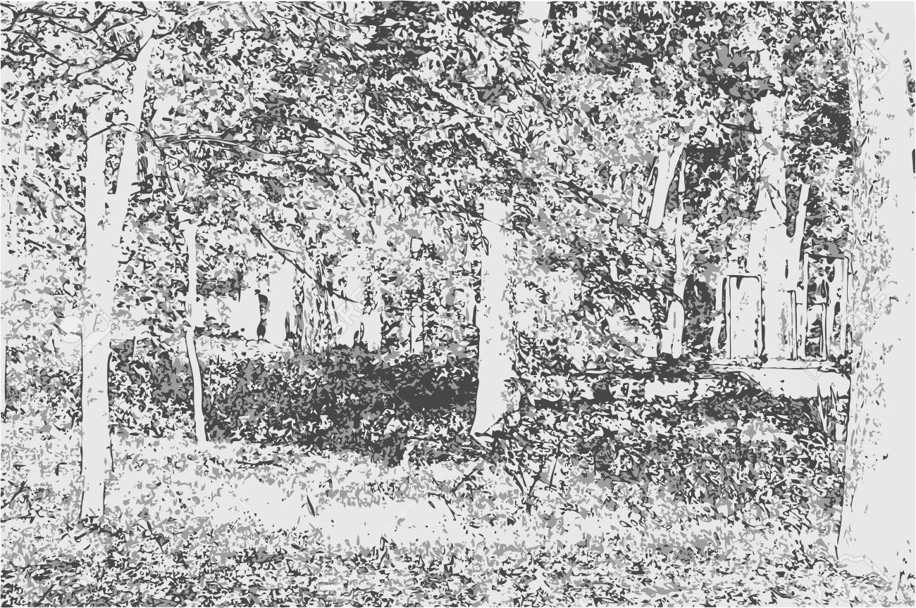 1300x864 grayscale landscape drawing park landscape with trees and grass - Grass Pencil Drawing