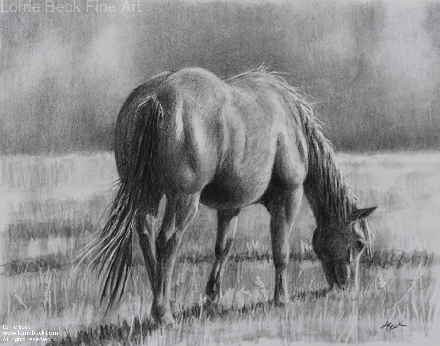 900x708 lorrie beck - Grass Pencil Drawing